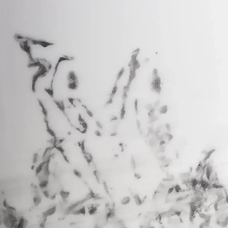 White White