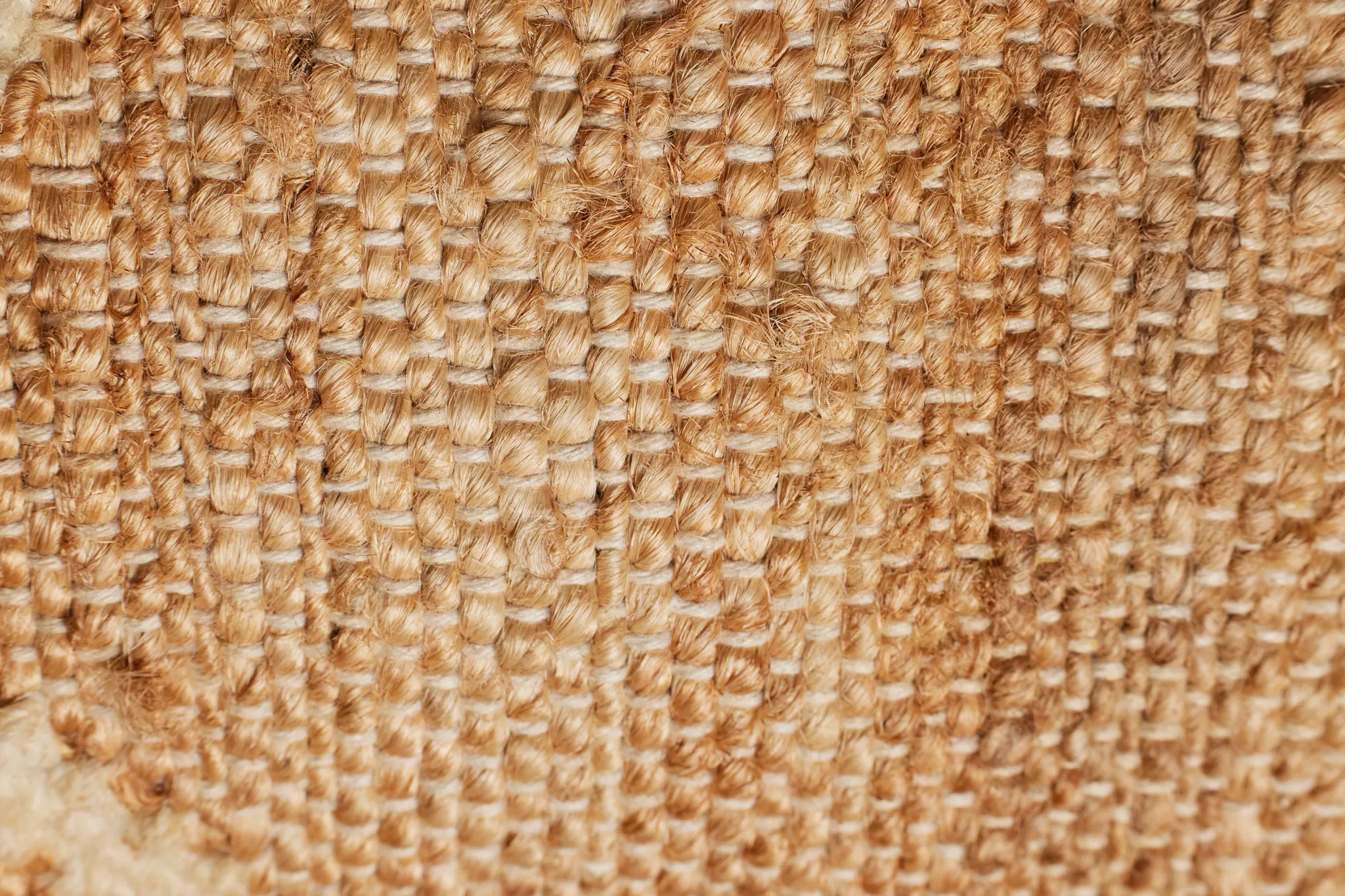 Collar Light Brown 22" Accent Pillow