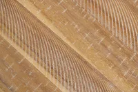 Joplin Light Tone 24" Upholstered Barstool