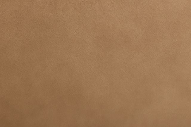 Kellan Light Brown Leather Medium Two-arm Sectional