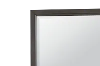 Toronto Dark Tone Mirror