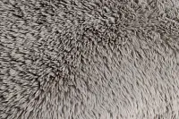 Yakety Yak Gray 22" Square Accent Pillow