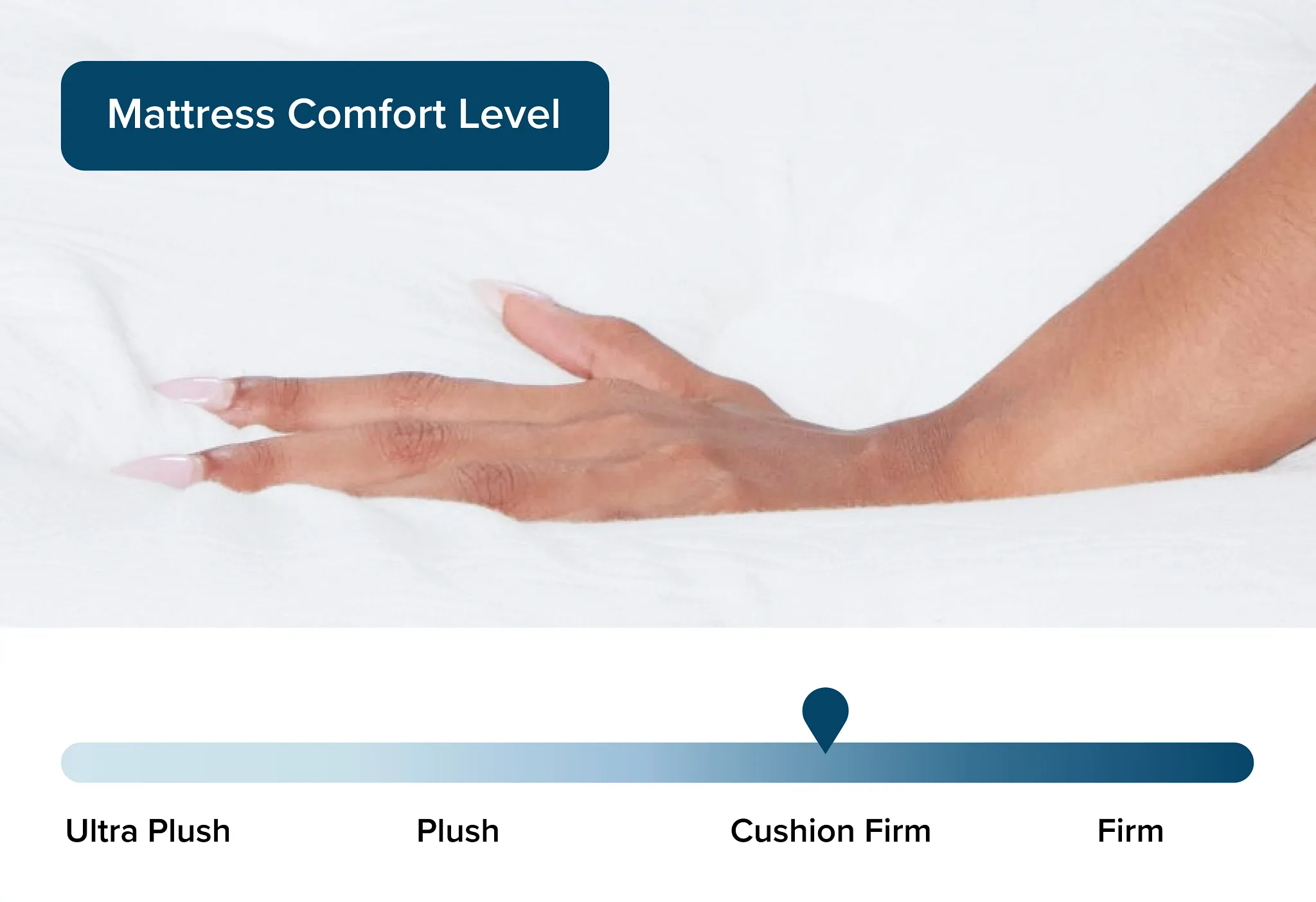 Rest & Renew By Zinus Pocket Innerspring 10" Tight Top Mattress