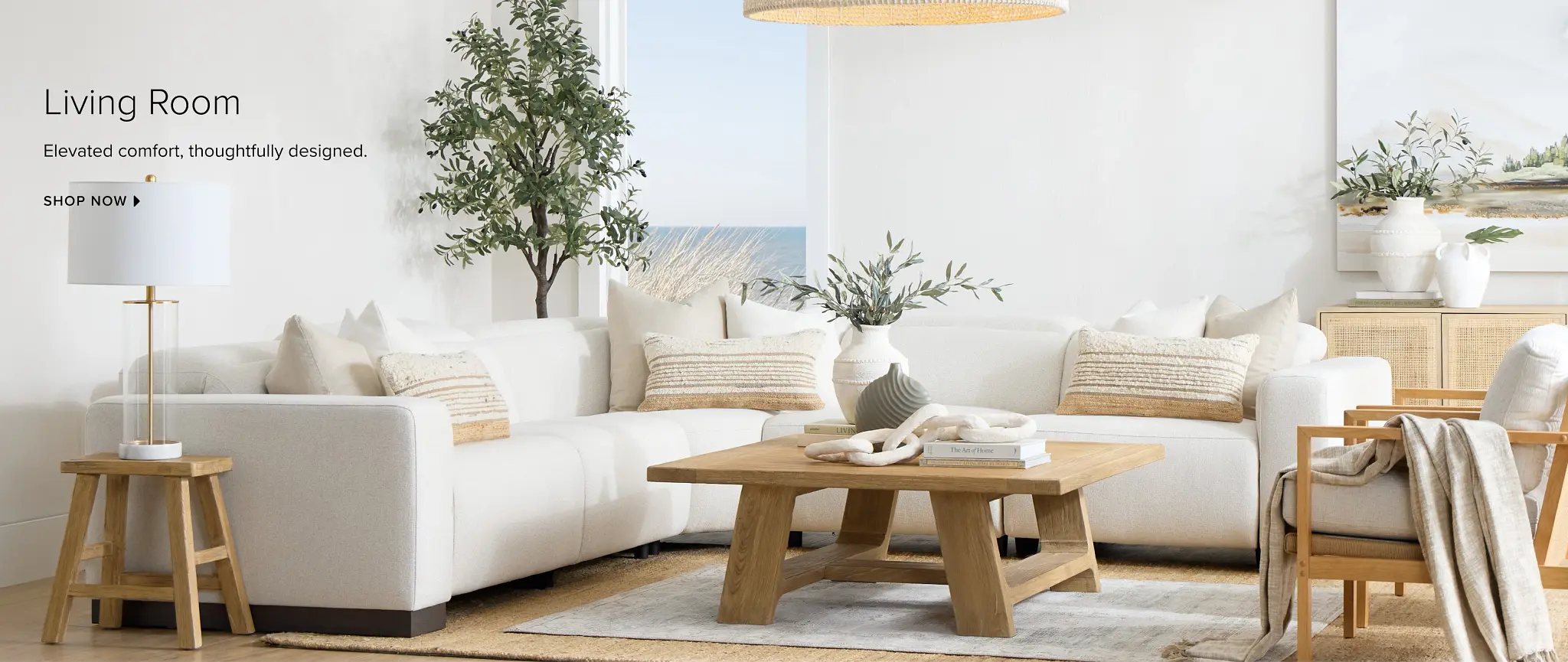 Shop Living Room