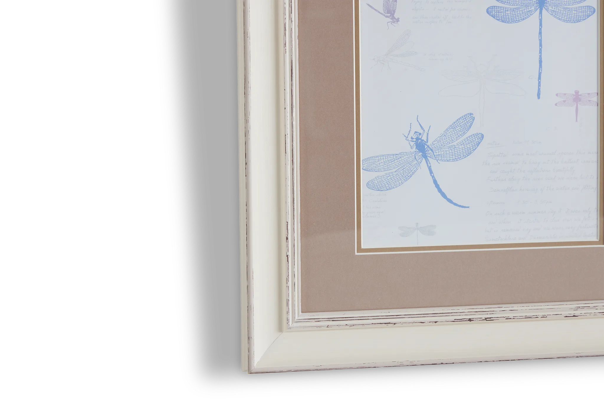 Dragonfly Multicolored Framed Wall Art