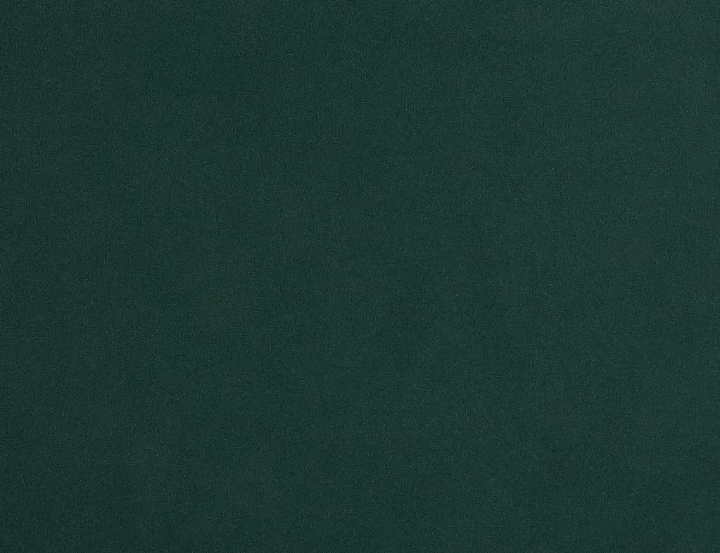 Captiva Joya Green 48" Upholstered Shelter Bed