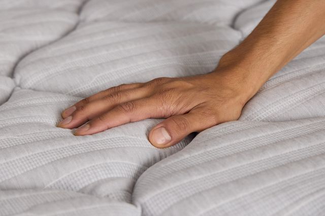 Kevin Charles By Sealy Essential Plush Mattress Set