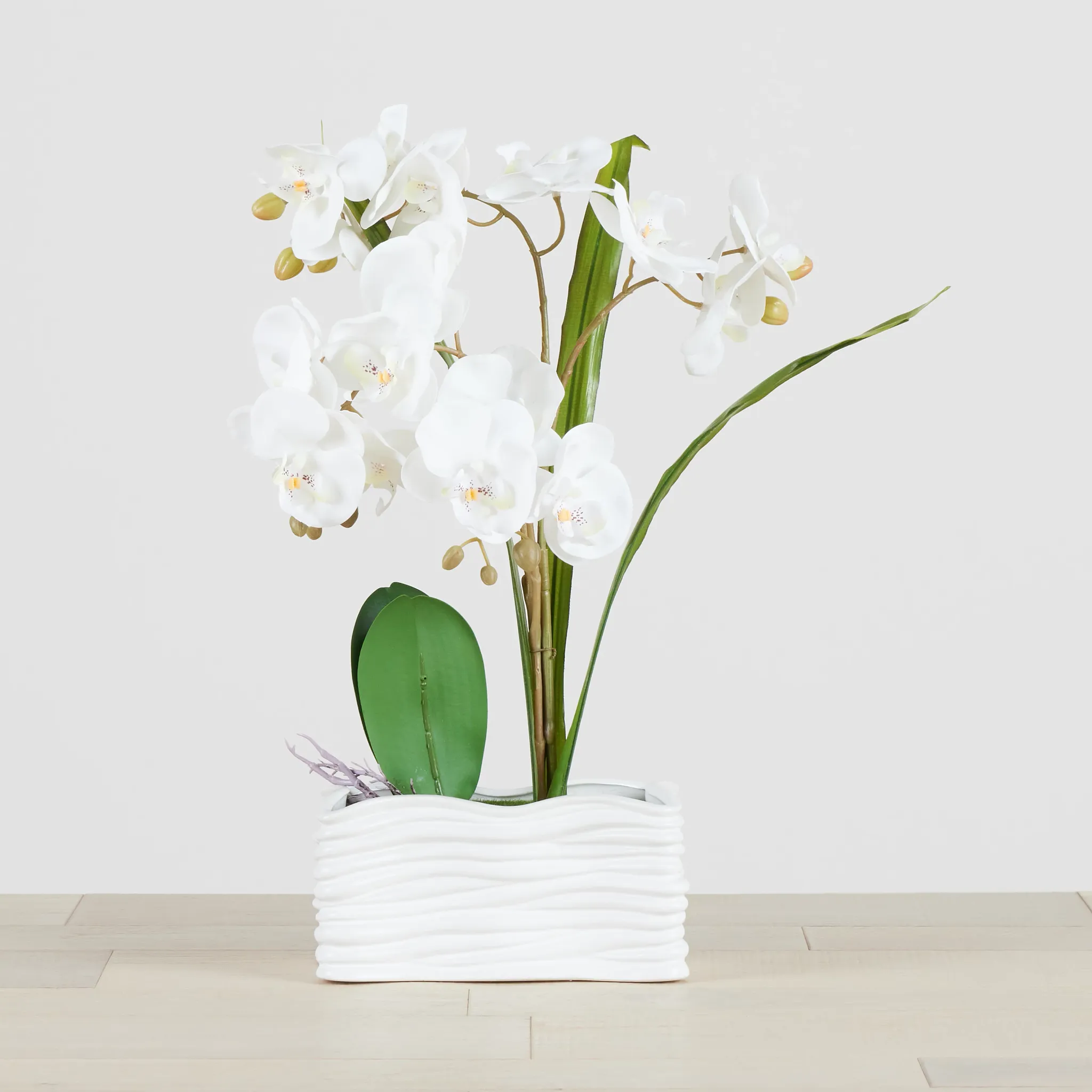 Potted Silver 18" Orchid