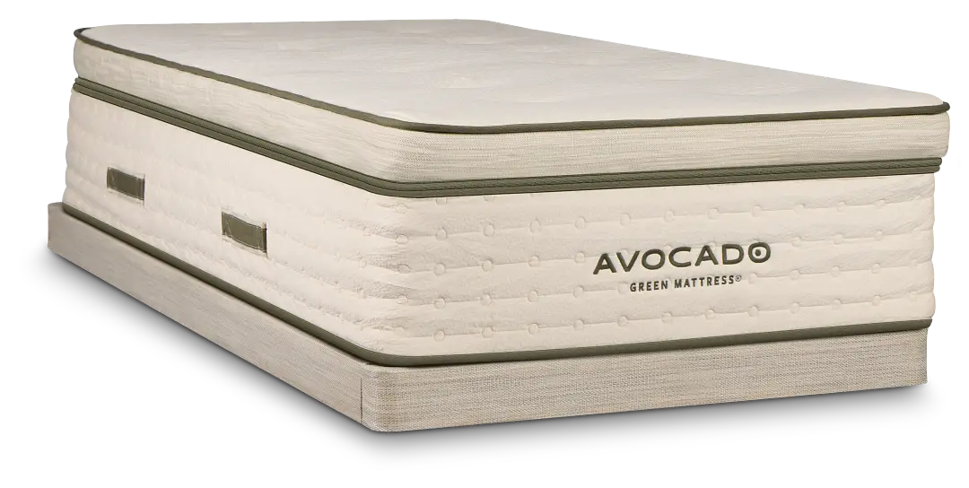 Avocado Green Plush Low-profile Mattress Set Avocado Green Plush Low-profile Mattress Set