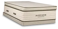 Avocado Green Plush Low-profile Mattress Set