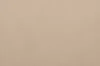 Reyna Beige Micro Power Reclining Sofa