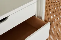 Malibu Light Tone 2-door Storage Cabinet