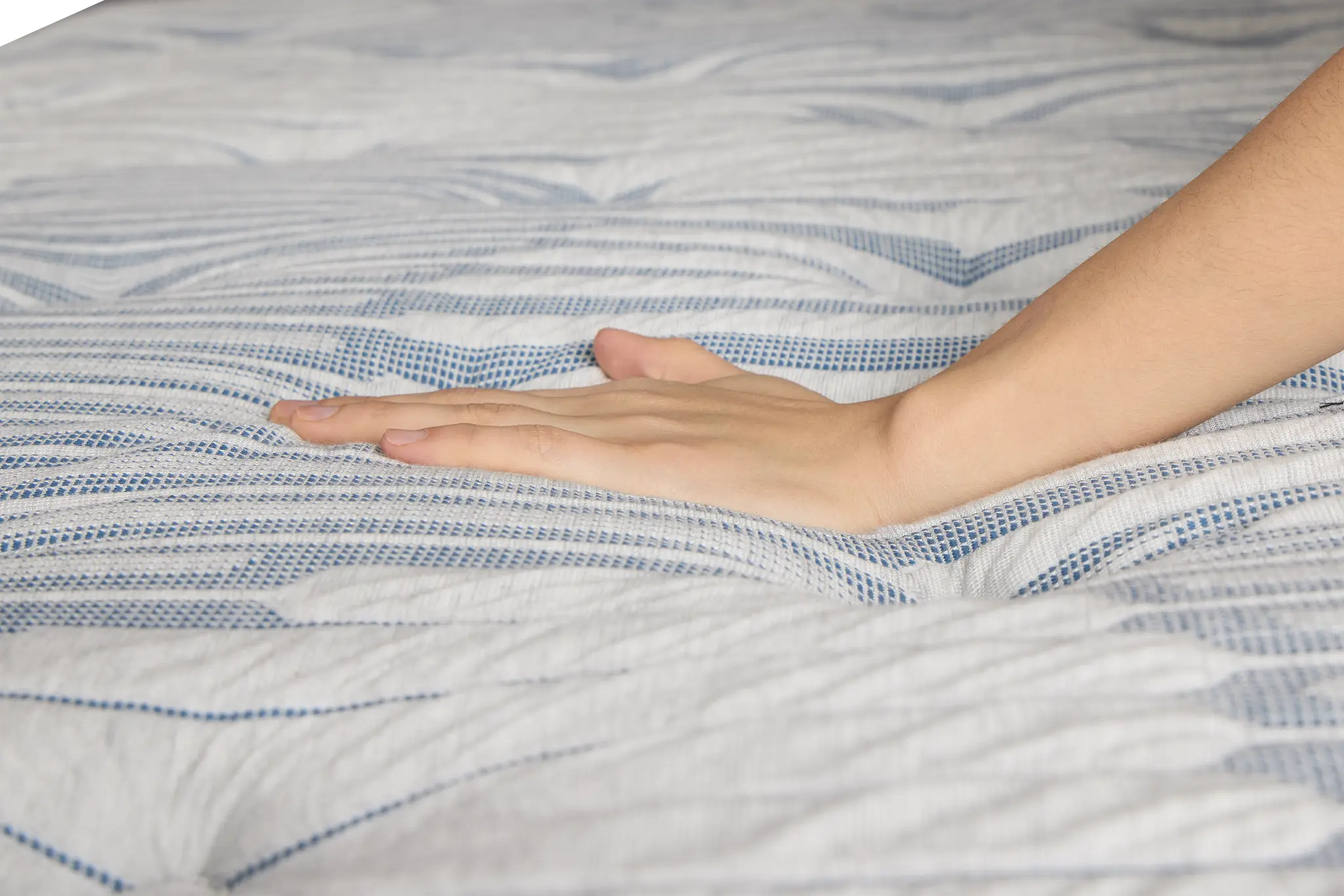 Kevin Charles By Sealy Signature 13" Medium Tight Top Mattress Kevin Charles By Sealy Signature 13" Medium Tight Top Mattress