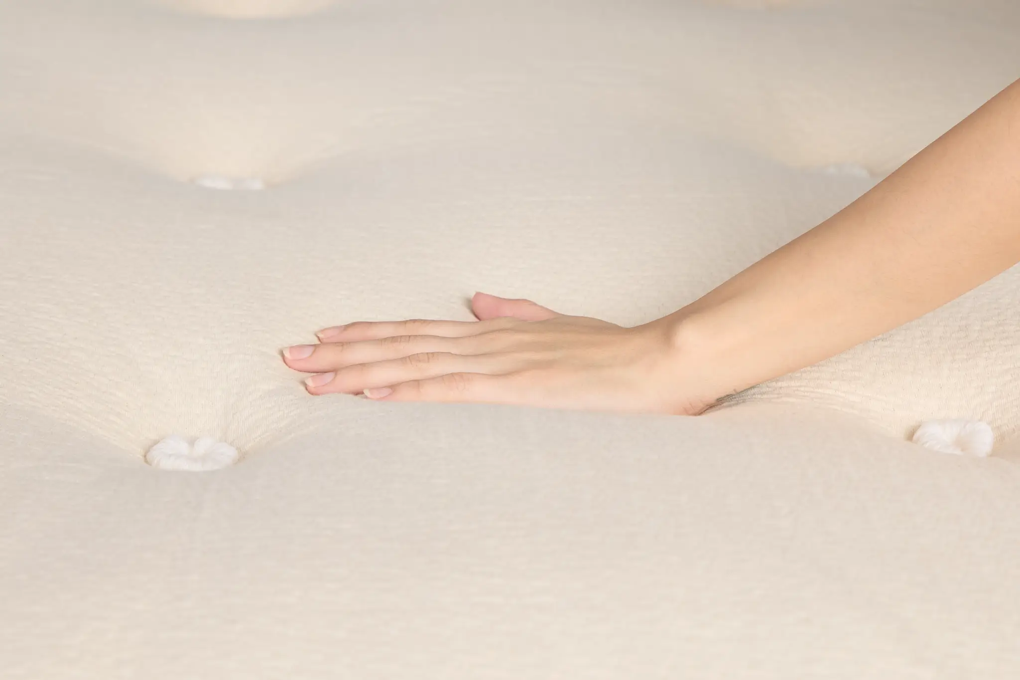 Avocado Green 15.50" Plush Box Top Mattress Avocado Green 15.50" Plush Box Top Mattress