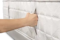 Aireloom Timeless Odyssey Luxetop M2 15.5" Plush Mattress