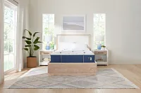 Stearns & Foster Studio 14" Medium Tight Top Mattress