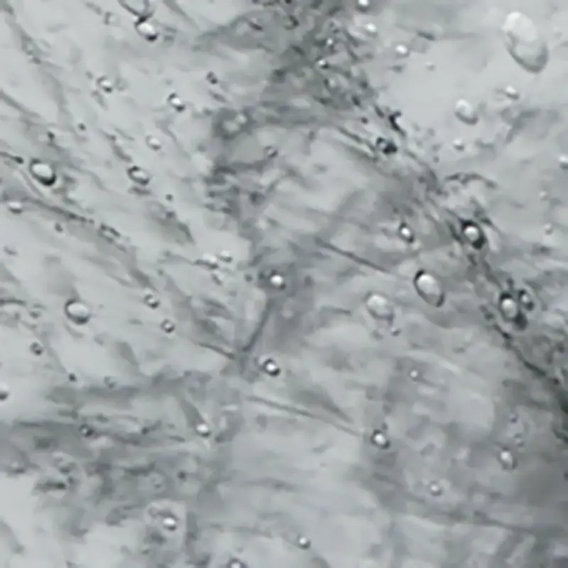 Gray Gray