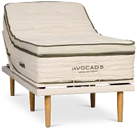Avocado Green Plush Eco Plus Adjustable Base Mattress Set