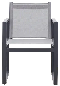 Linear2 Dark Gray Sling Arm Chair