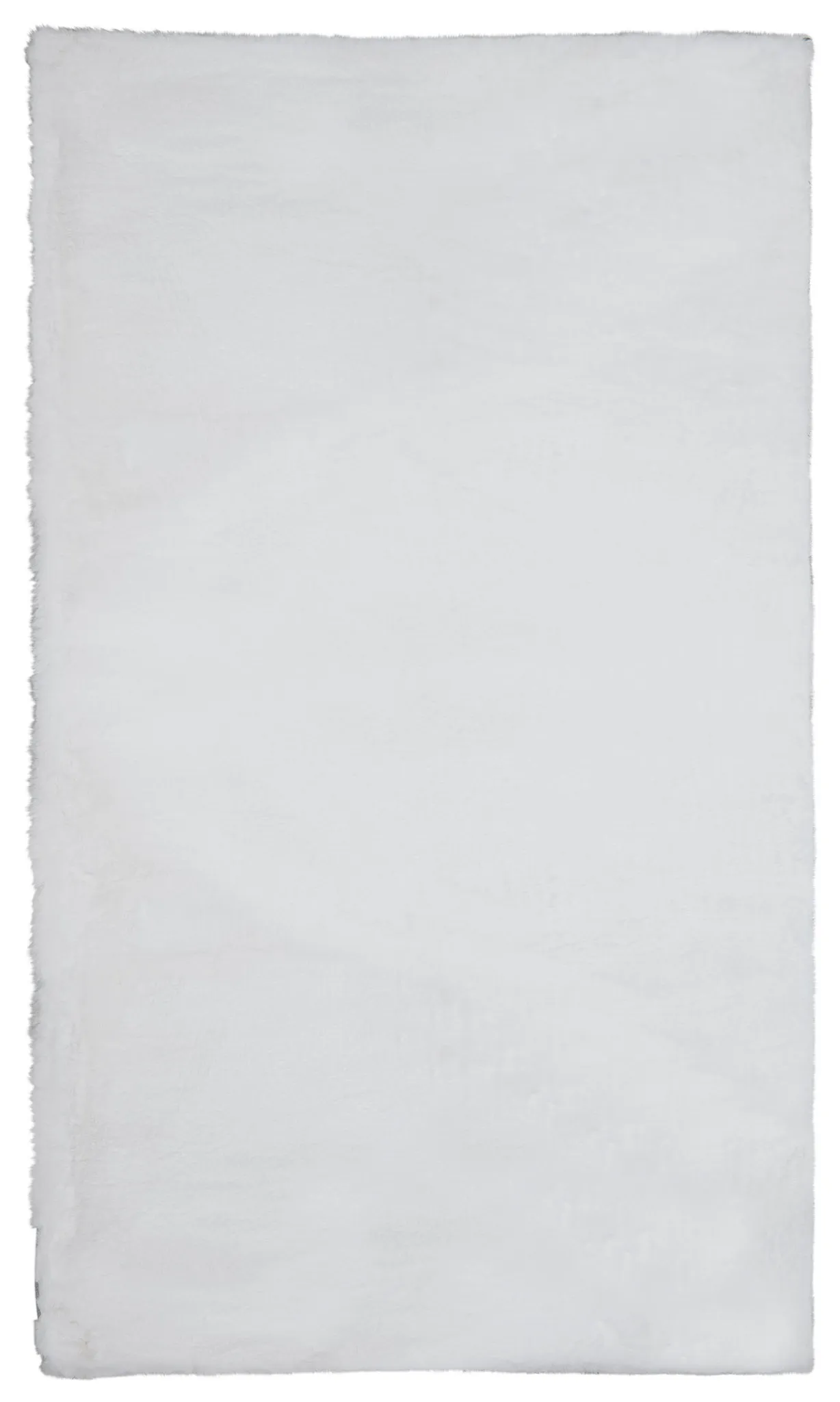 Kaycee White 2x3 Area Rug
