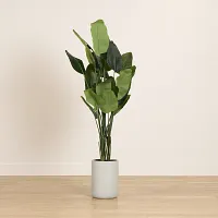 Birds Of Paradise 8' Greenery
