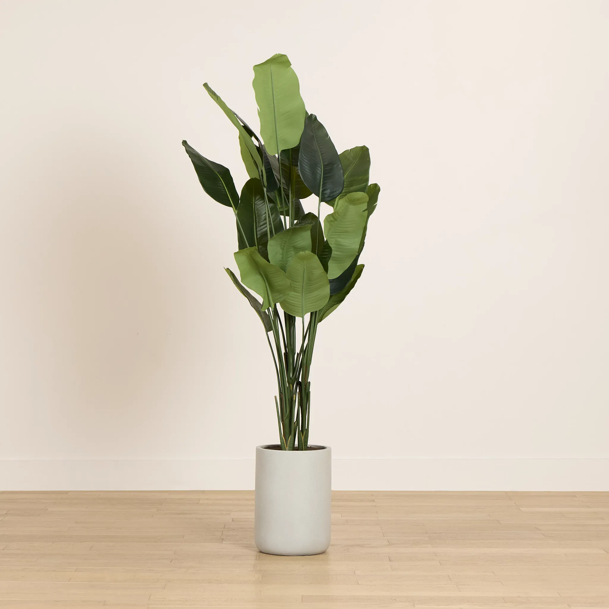 Birds Of Paradise 8' Greenery