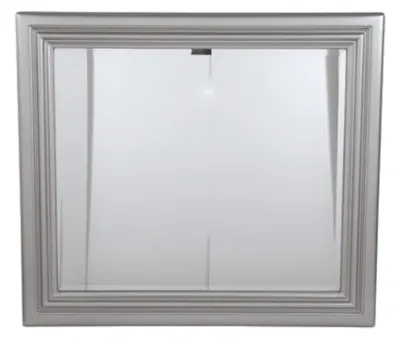 Coralayne Silver Mirror
