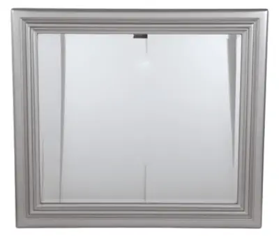 Coralayne Silver Mirror Coralayne Silver Mirror