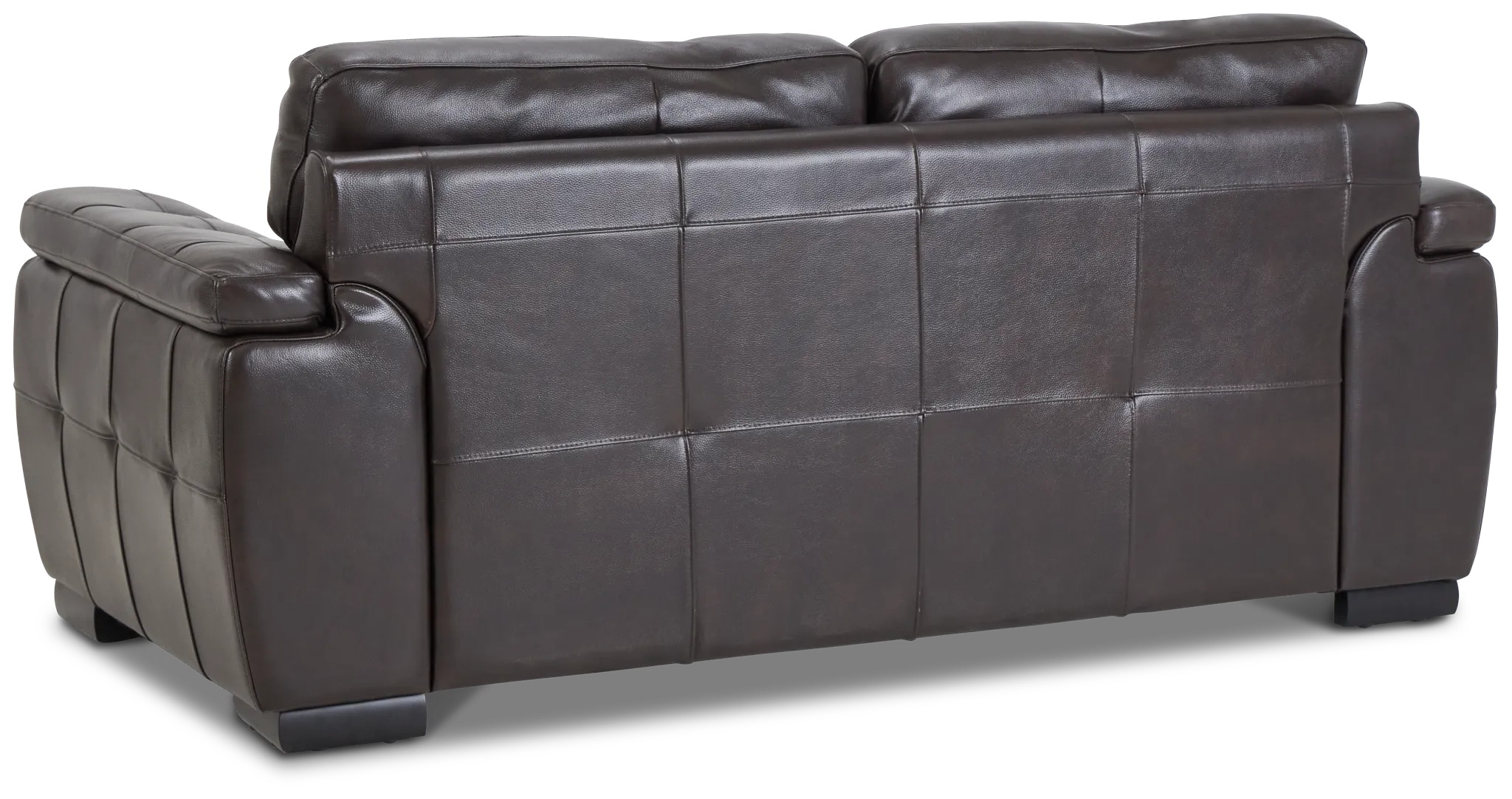 Braden Dark Brown Leather Loveseat