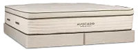Avocado Green Cushion Firm Mattress Set