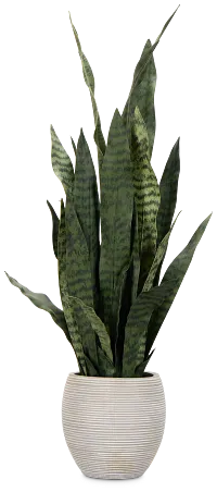 Snake 40" Greenery