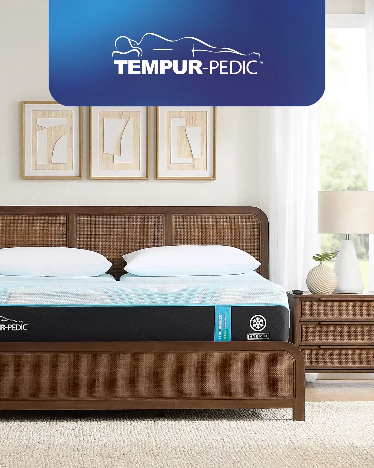 Tempur-Pedic 