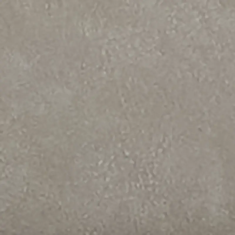 Light Gray Light Gray