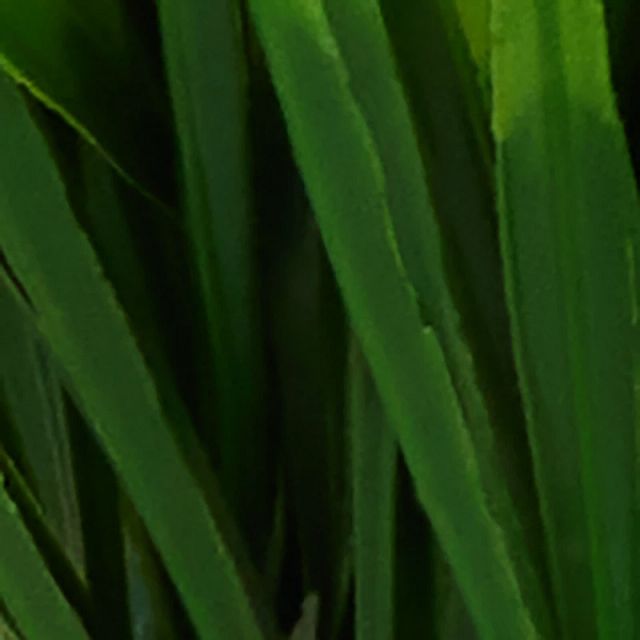Water 15.25" Grass