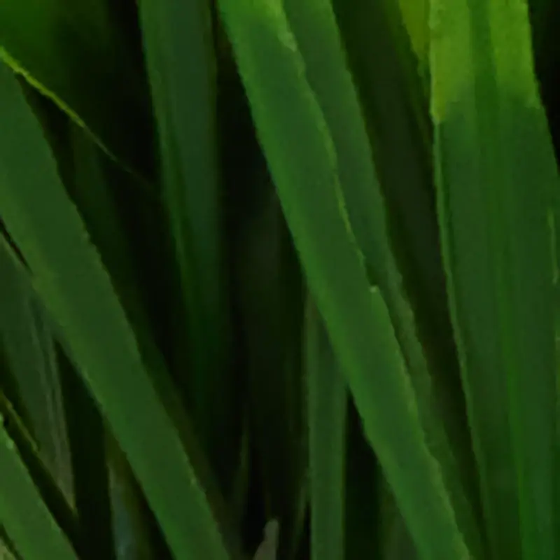 GREEN Water 12.5" Grass