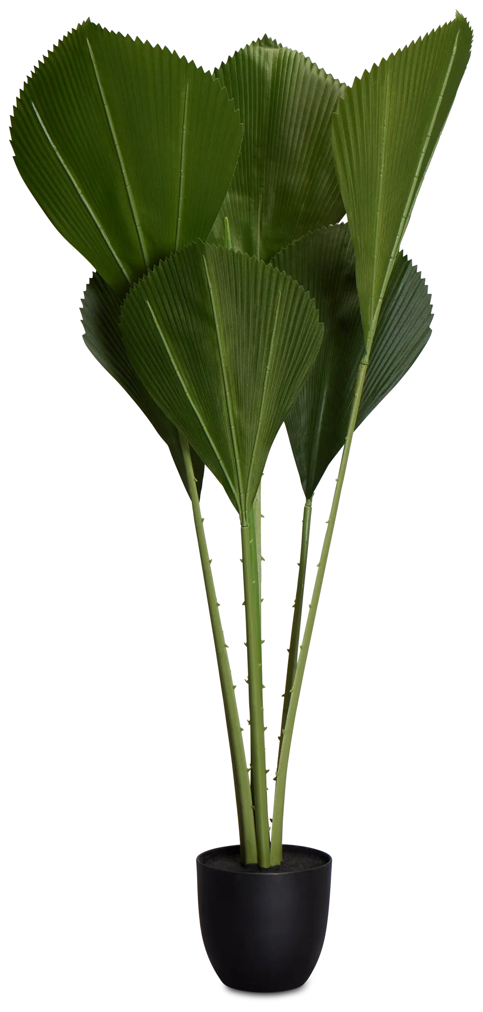 Fiddle Leaf Green 43" Greenery