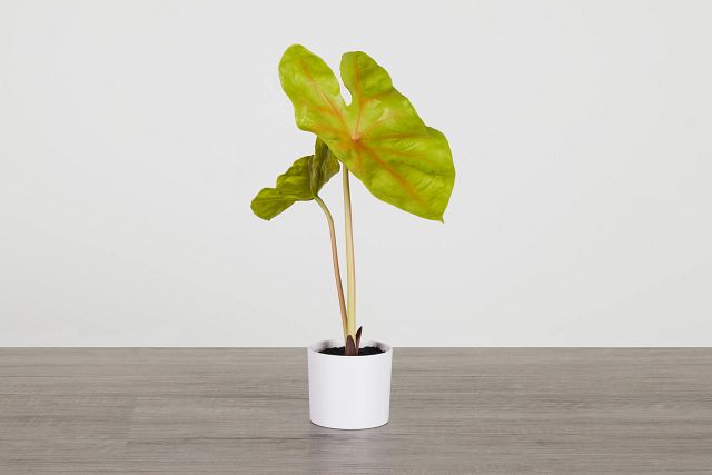 Taro 14" Greenery