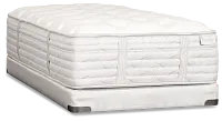 Aireloom Timeless Odyssey Streamline Lux 15.5" Firm Mattress