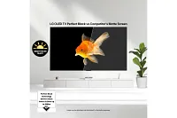 Lg Oled Evo Ai C5 4k Smart Tv 55" Oled Smart Tv