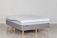 The Purple Mattress