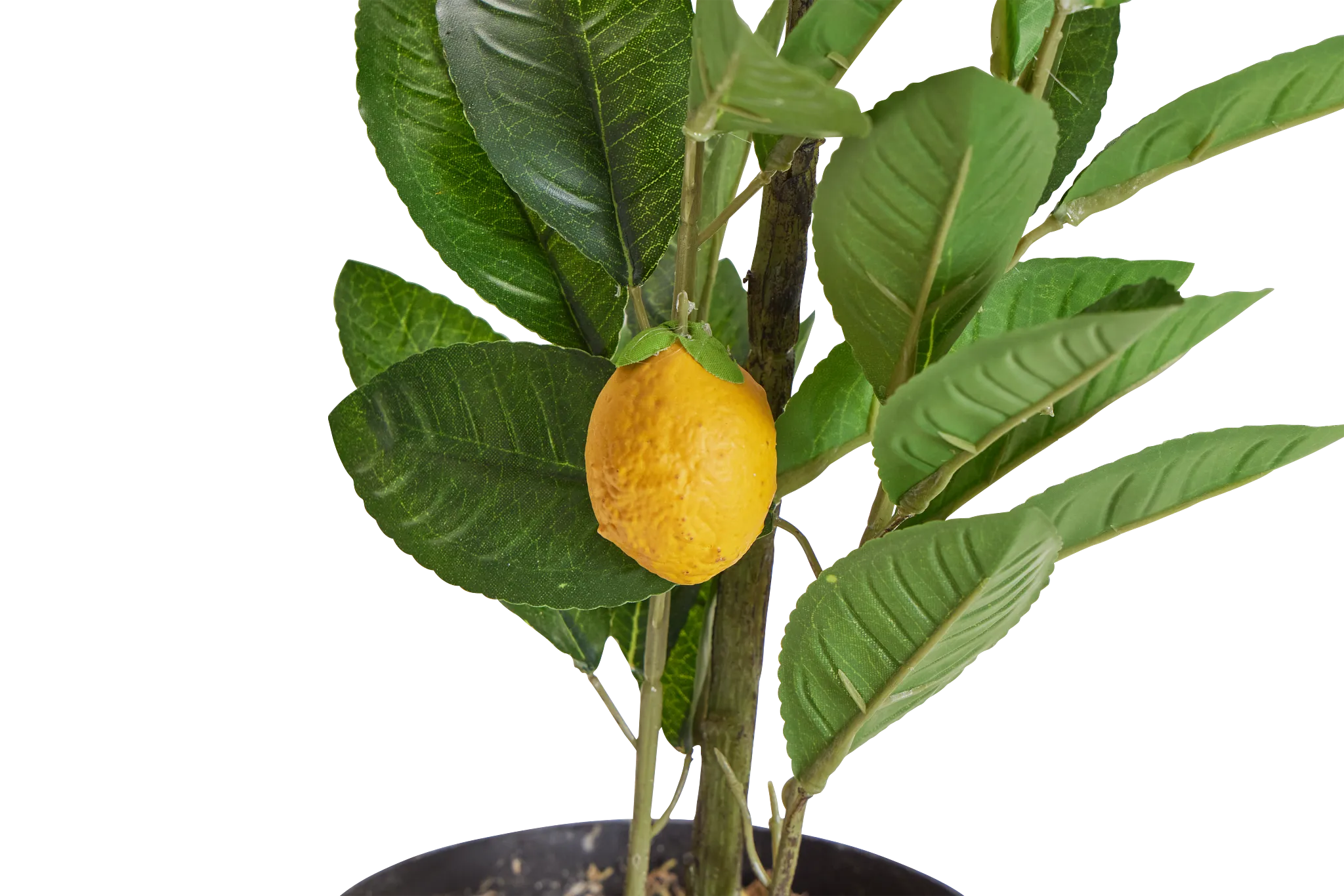 Lemon Green 23" Tree