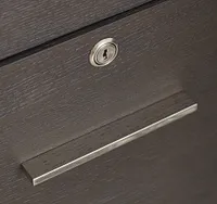 Highline Dark Tone Small File Cabinet