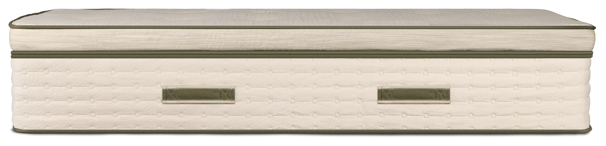 Avocado Green 15.50" Plush Box Top Mattress