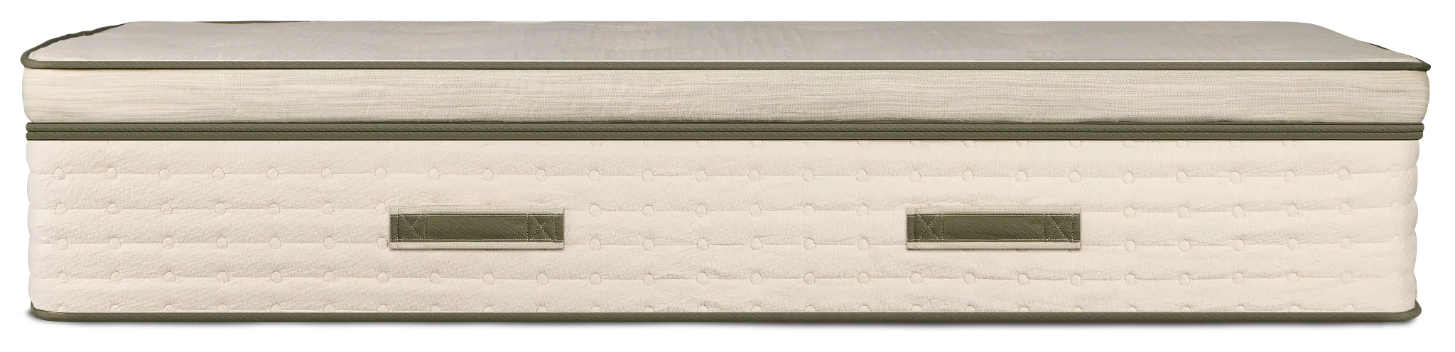 Avocado Green 15.50" Plush Box Top Mattress Avocado Green 15.50" Plush Box Top Mattress