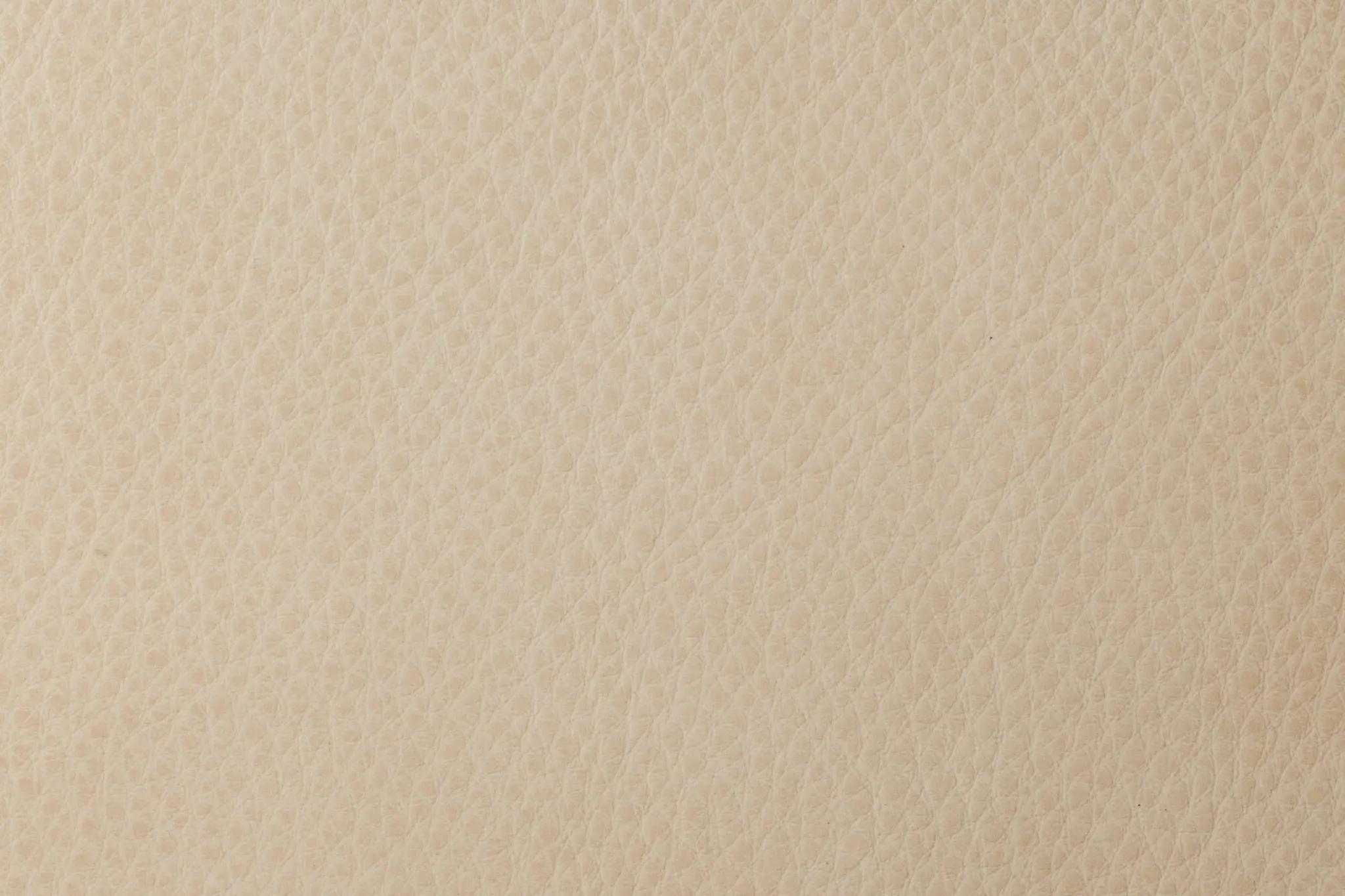Light Beige Light Beige