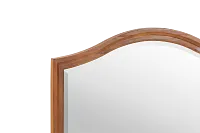 Trishley Mid Tone Mirror