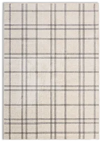 Hane White 5x8 Area Rug