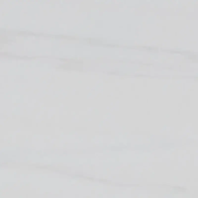 White White
