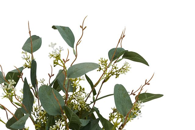 Eucalptus Medium Greenery
