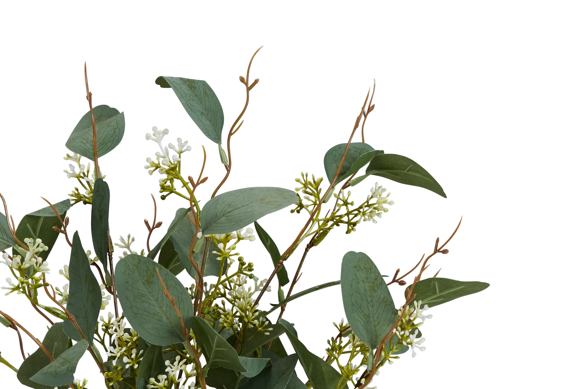 Eucalyptus Medium Greenery
